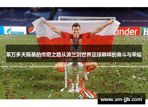 莱万多夫斯基的传奇之路从波兰到世界足球巅峰的奋斗与荣耀