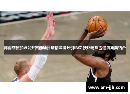 陈雨菲新加坡公开赛前场扑球精彩得分引热议 技巧与反应速度完美结合