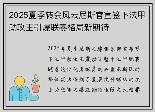 2025夏季转会风云尼斯官宣签下法甲助攻王引爆联赛格局新期待