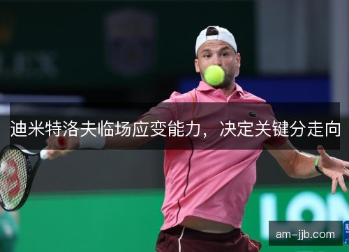 迪米特洛夫临场应变能力，决定关键分走向